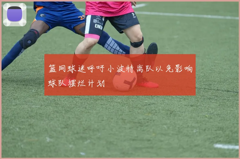 篮网球迷呼吁小波特离队以免影响球队摆烂计划